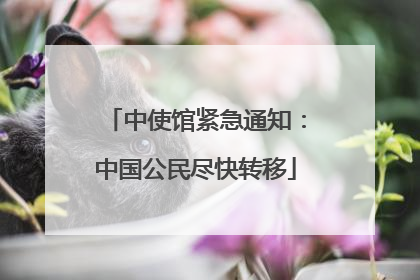 中使馆紧急通知：中国公民尽快转移