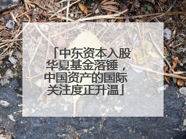 中东资本入股华夏基金落锤，中国资产的国际关注度正升温