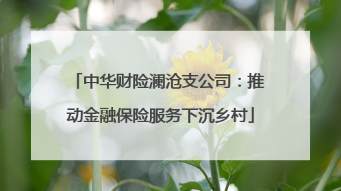 中华财险澜沧支公司：推动金融保险服务下沉乡村