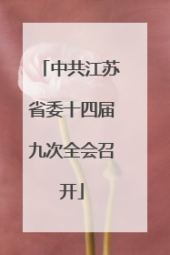 中共江苏省委十四届九次全会召开