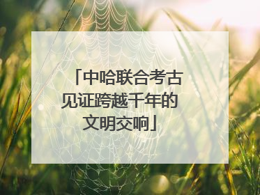 中哈联合考古见证跨越千年的文明交响
