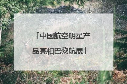 中国航空明星产品亮相巴黎航展