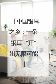 中国银耳之乡：一朵银耳“开”出无限可能