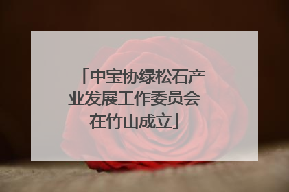 中宝协绿松石产业发展工作委员会在竹山成立