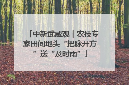 中新武威观｜农技专家田间地头“把脉开方”送“及时雨”