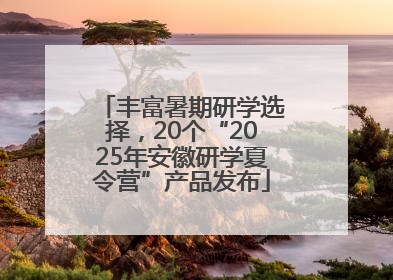 丰富暑期研学选择，20个“2025年安徽研学夏令营”产品发布