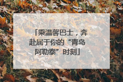 乘温馨巴士，奔赴属于你的“青岛阿勒泰”时刻