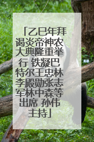 乙巳年拜谒炎帝神农大典隆重举行 铁凝巴特尔王忠林李殿勋张志军林中森等出席 孙伟主持
