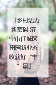 乡村活力新密码 济宁市任城区田园新业态收获好“丰”景