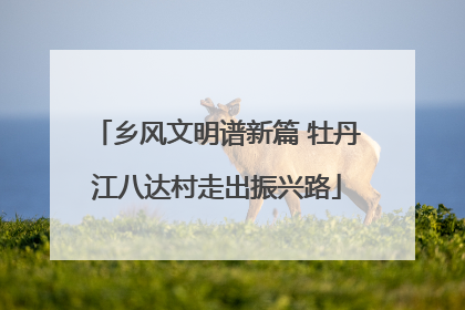 乡风文明谱新篇 牡丹江八达村走出振兴路