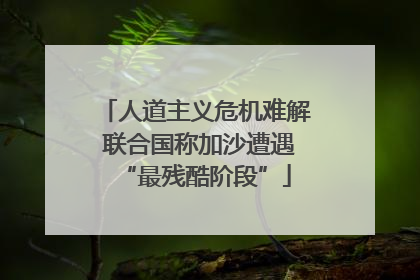 人道主义危机难解 联合国称加沙遭遇“最残酷阶段”