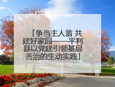 争当主人翁 共建好家园——平利县以党建引领基层善治的生动实践
