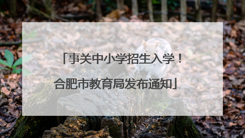 事关中小学招生入学！合肥市教育局发布通知