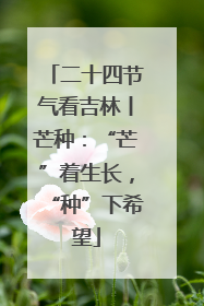 二十四节气看吉林丨芒种：“芒”着生长，“种”下希望