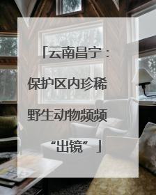 云南昌宁：保护区内珍稀野生动物频频“出镜”