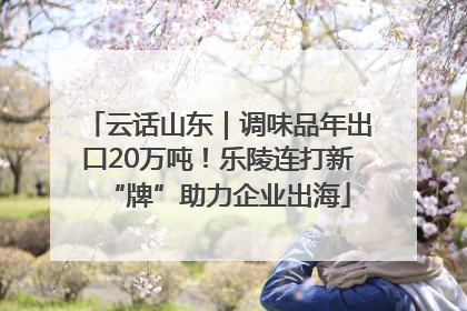 云话山东｜调味品年出口20万吨！乐陵连打新“牌”助力企业出海