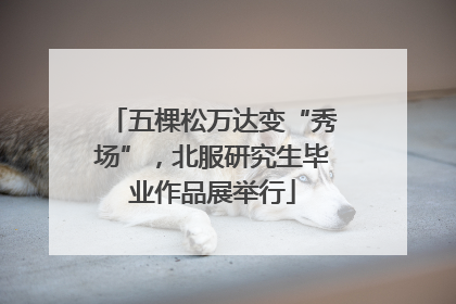 五棵松万达变“秀场”，北服研究生毕业作品展举行