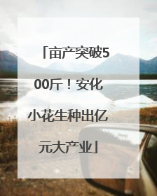 亩产突破500斤！安化小花生种出亿元大产业