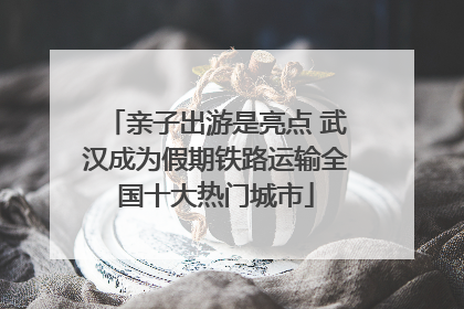 亲子出游是亮点 武汉成为假期铁路运输全国十大热门城市