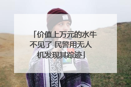 价值上万元的水牛不见了 民警用无人机发现其踪迹