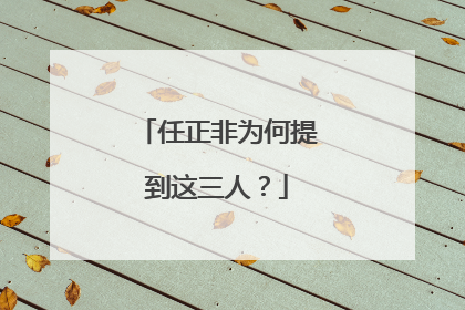 任正非为何提到这三人？