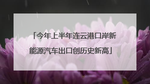 今年上半年连云港口岸新能源汽车出口创历史新高