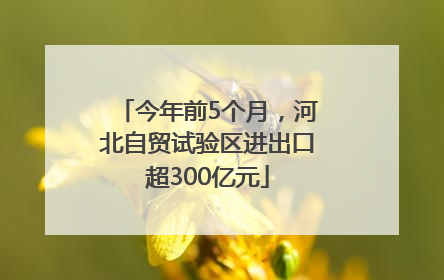 今年前5个月，河北自贸试验区进出口超300亿元