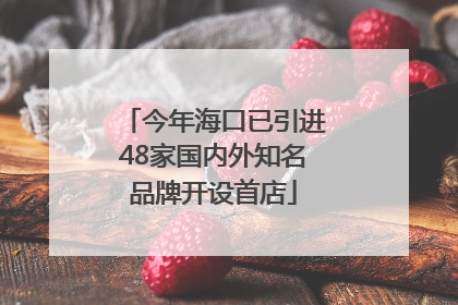 今年海口已引进48家国内外知名品牌开设首店