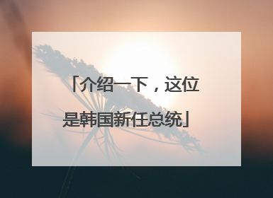 介绍一下，这位是韩国新任总统