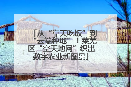 从“靠天吃饭”到“云端种地”！莱芜区“空天地网”织出数字农业新图景