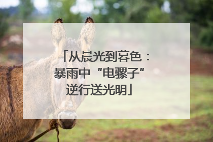 从晨光到暮色：暴雨中“电骡子”逆行送光明