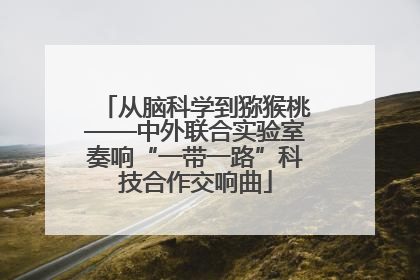 从脑科学到猕猴桃——中外联合实验室奏响“一带一路”科技合作交响曲