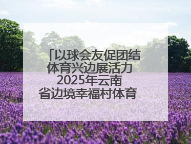 以球会友促团结 体育兴边展活力 2025年云南省边境幸福村体育嘉年华三人篮球赛圆满收官