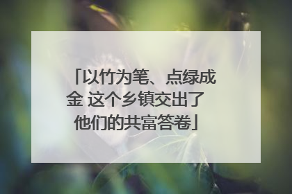 以竹为笔、点绿成金 这个乡镇交出了他们的共富答卷