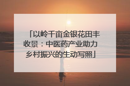以岭千亩金银花田丰收景：中医药产业助力乡村振兴的生动写照