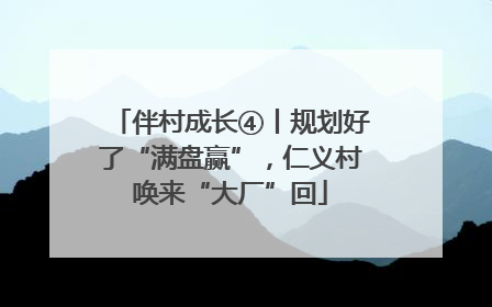 伴村成长④丨规划好了“满盘赢”，仁义村唤来“大厂”回