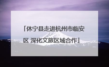休宁县走进杭州市临安区 深化文旅区域合作