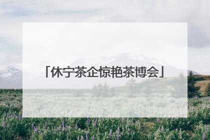 休宁茶企惊艳茶博会