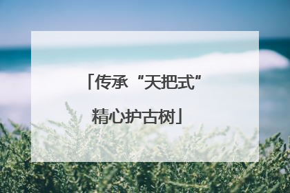 传承“天把式” 精心护古树