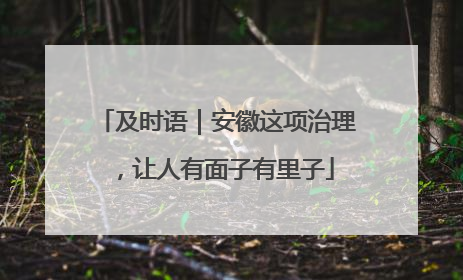 及时语｜安徽这项治理，让人有面子有里子
