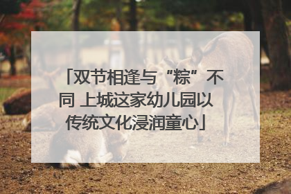 双节相逢与“粽”不同 上城这家幼儿园以传统文化浸润童心