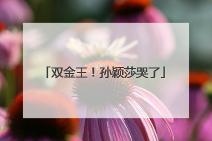 双金王！孙颖莎哭了