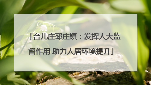 台儿庄邳庄镇：发挥人大监督作用 助力人居环境提升
