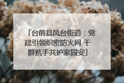 台前县凤台街道：党建引领织密防火网 干群携手共护家园安