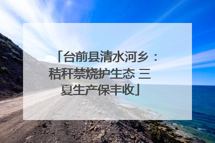 台前县清水河乡：秸秆禁烧护生态 三夏生产保丰收