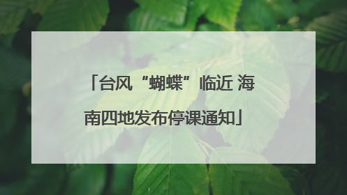 台风“蝴蝶”临近 海南四地发布停课通知
