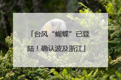 台风“蝴蝶”已登陆！确认波及浙江
