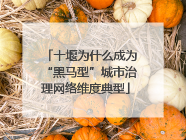 十堰为什么成为“黑马型”城市治理网络维度典型