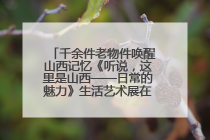 千余件老物件唤醒山西记忆《听说，这里是山西——日常的魅力》生活艺术展在忻州市图书馆开展