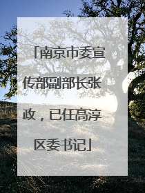 南京市委宣传部副部长张政，已任高淳区委书记